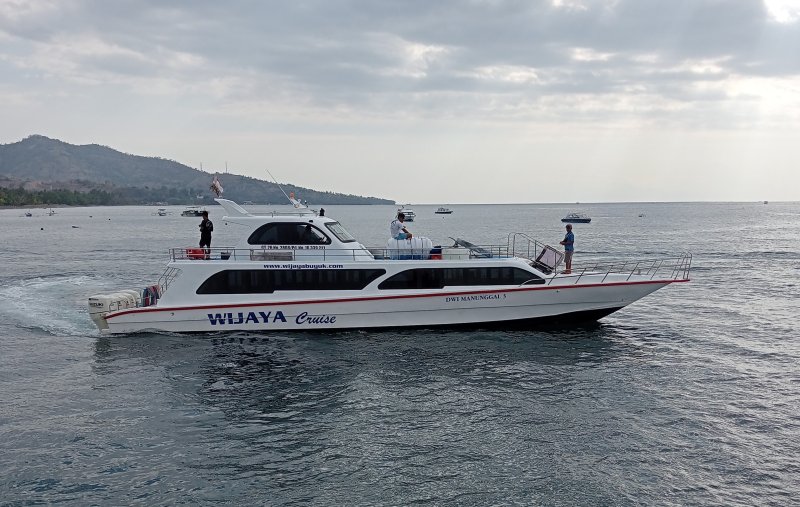 WIJAYA